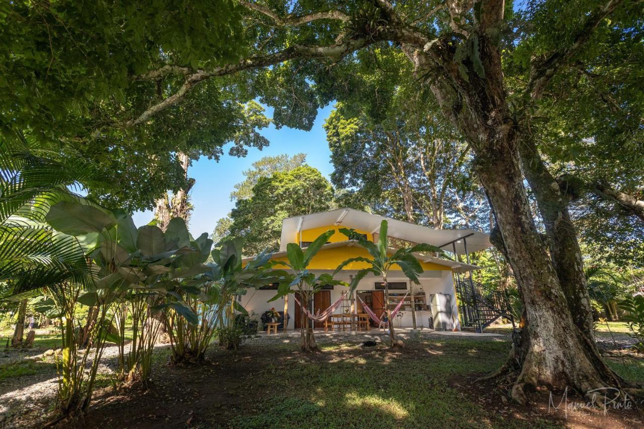 Puerto Viejo Club, Villas & Pool Puerto Viejo de Talamanca Экстерьер фото